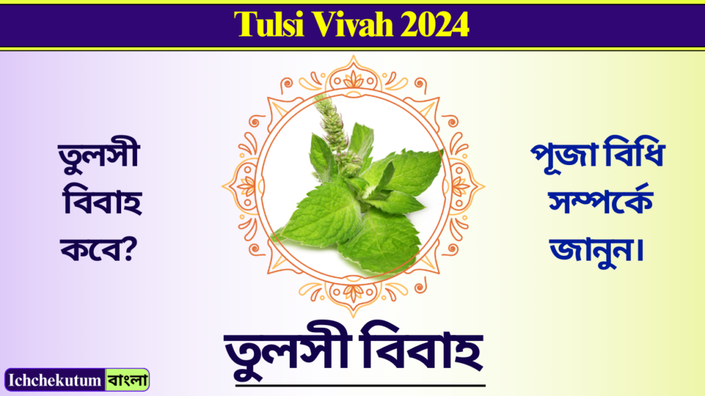 Tulsi Vivah 2024